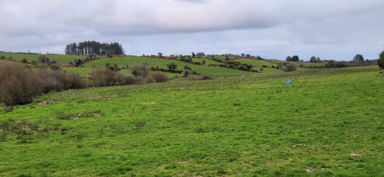 דירות קורק Peacock Farms Estate מראה חיצוני תמונה